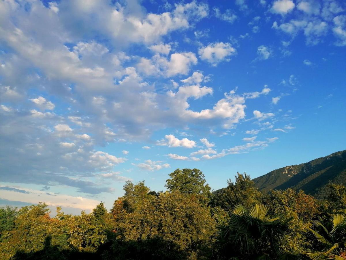 博尔索-德尔格拉帕Agriturismo Da Andreina住宿加早餐旅馆 外观 照片