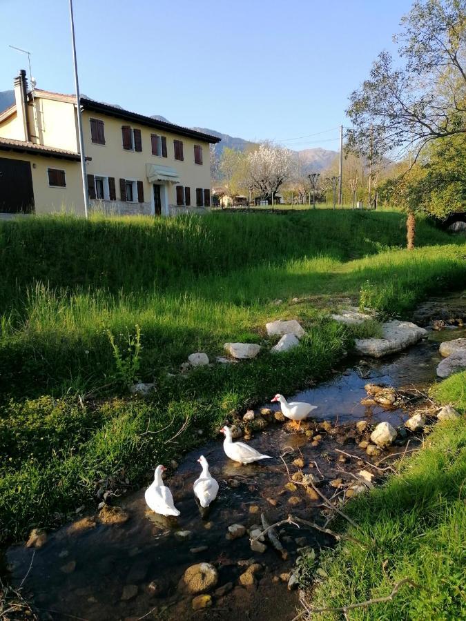 博尔索-德尔格拉帕Agriturismo Da Andreina住宿加早餐旅馆 外观 照片