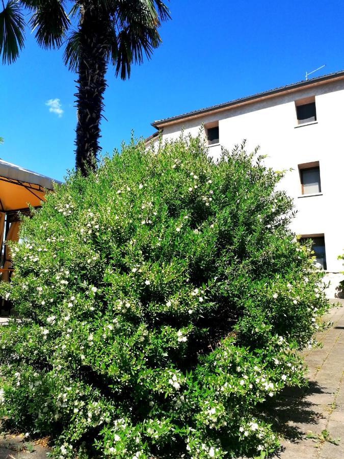 Agriturismo Da Andreina 博尔索-德尔格拉帕 外观 照片