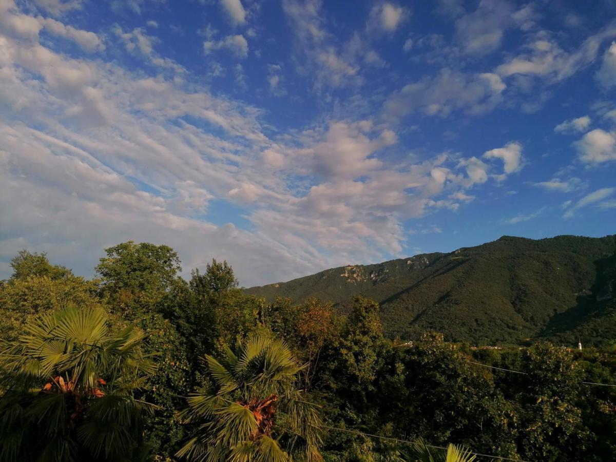 博尔索-德尔格拉帕Agriturismo Da Andreina住宿加早餐旅馆 外观 照片