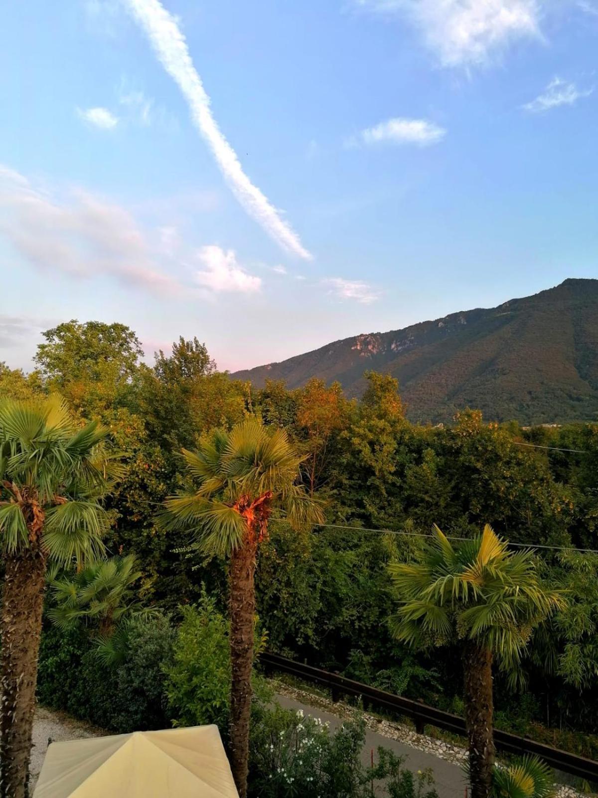 博尔索-德尔格拉帕Agriturismo Da Andreina住宿加早餐旅馆 外观 照片